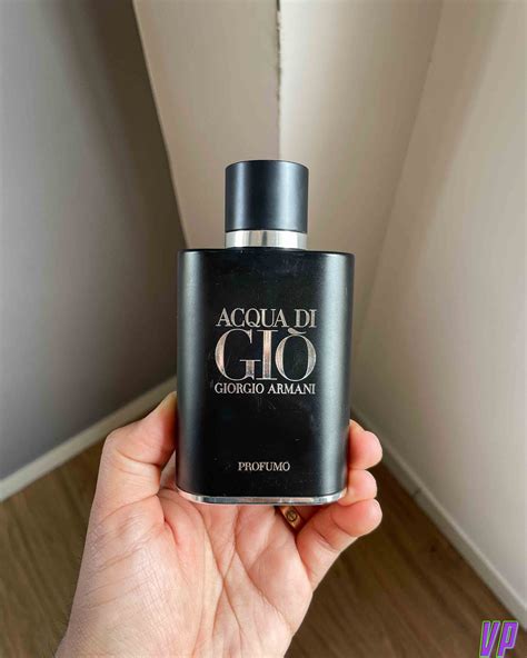 versace pour homme vs acqua di gio profumo|Acqua Di Gio Profumo or Versace Pour Homme : r/fragrance.